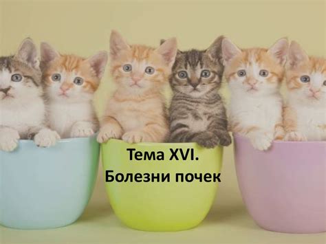 Болезни почек - презентация онлайн