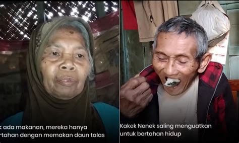 Kakek Nenek Ini Tinggal Di Gubuk Tak Layak Huni Tiap Hari Hanya Makan