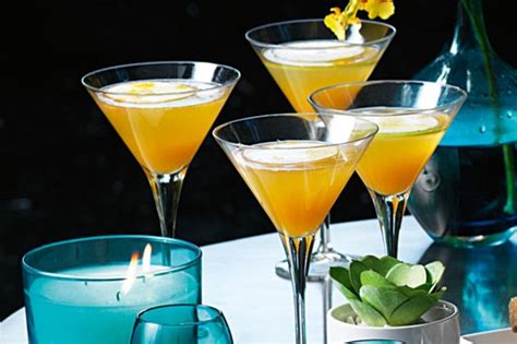 Passionfruit Spritzer Recipe Au