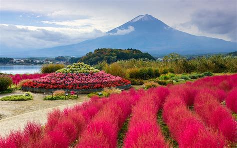 Cycling the Fuji Five Lakes in Japan - GaijinPot