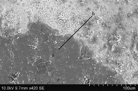 Scanning electron microscope image of interface of Al/SiC. | Download ... 