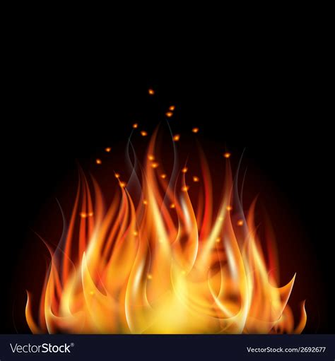 Fire on dark background Royalty Free Vector Image