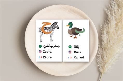 Arabic Alphabet Vocabulary Flashcards in Arabic English French - Etsy