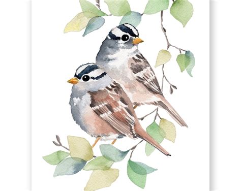 White Crowned Sparrows Watercolor Print Bird Watercolor Print Gift