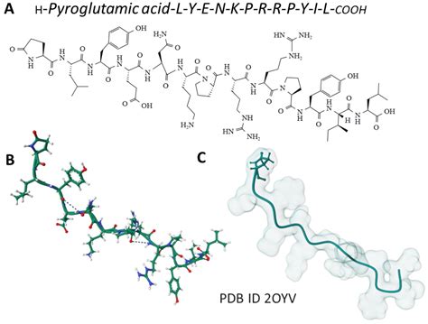 Ijms Free Full Text Neurotensin And Alcohol Use Disorders Towards