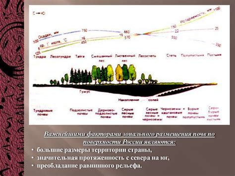 Главные типы почв России - презентация онлайн