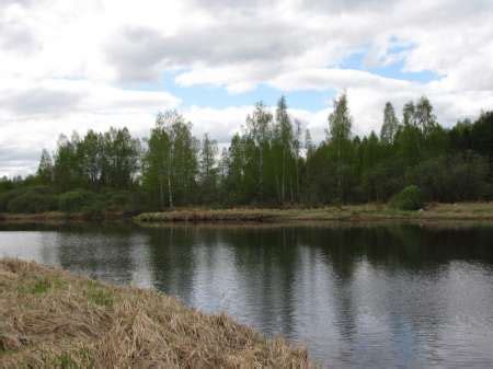 Родная природа — Фотографии