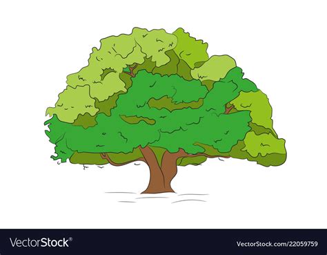 Big tree drawing color Royalty Free Vector Image