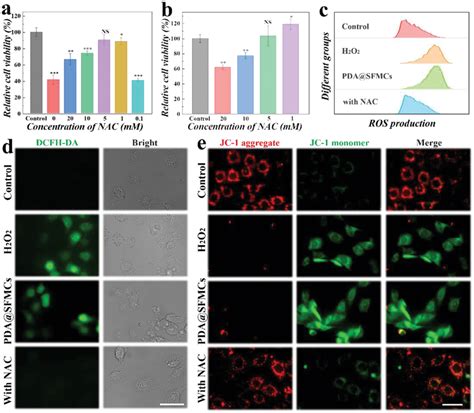 The Antioxidant Capacity Of Nacloaded Pda Sfmcs On Heioc Cells A