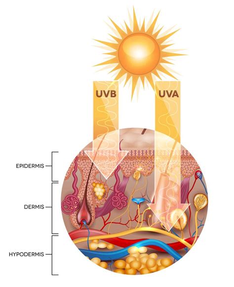 Aprenda a preparar um protetor solar natural Incrível