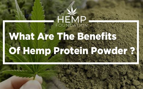 What Are The Benefits Of Hemp Protein Powder? | Hemp Foundation