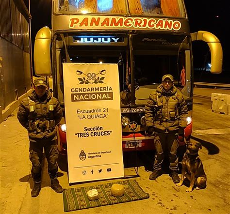 Decomisan 170 kilos de hoja de coca y más de 1 kilo de marihuana en dos