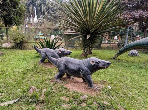 Statue of Cynognathus Dinosaurs in a Park Stock Photo - Image of ...