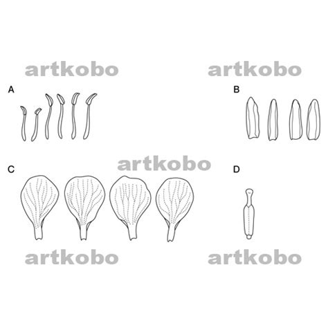 Web教材イラスト図版工房 理22北海道問0101