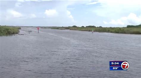 Algae Bloom Found In Floridas Lake Okeechobee Wsvn 7news Miami