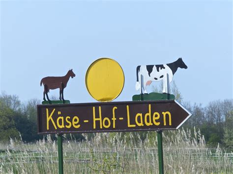 Krummhörn Greetsiel Käse Hof Laden Ostfriesland Nordsee