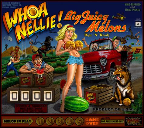 Whoa Nellie Big Juicy Melons Stern 2015 VPX Pinball Tables