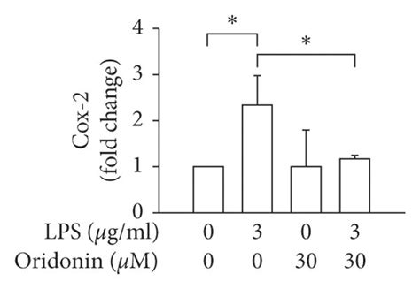 Oridonin Attenuated Lps Induced Inos Cox 2 A Sma And Ctgf