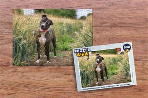 Puzzel Een Staffordshire Bull Terrier In Het Hoge Gras Legpuzzel