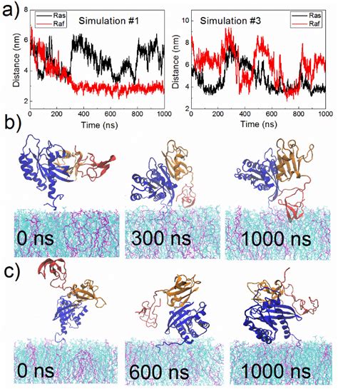 Dynamic Membrane Binding Of C Raf RBD CRD K Ras4B Complex A Time