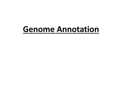 Genome Annotation Process | PPT