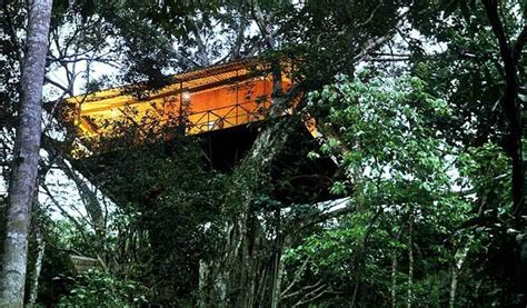 7 Indian Tree Houses Like You Have Never Seen Before