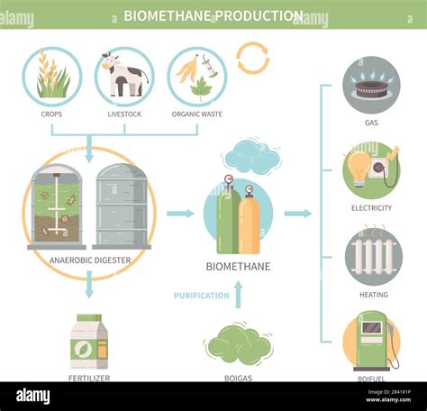 Biomethane Production Infographics Demonstrating Agricultural Crops And