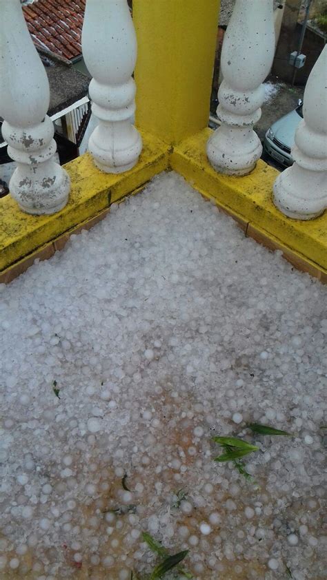 Chuva de granizo derruba árvores e destelha casas em Pedro Leopoldo