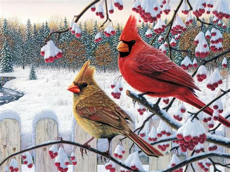 Winter Cardinals A Stunning Hd Wallpaper Of Snowy Serenity