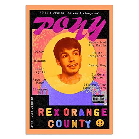 Best Rex Orange County Vinyl Pony Offers Fun, Nostalgia