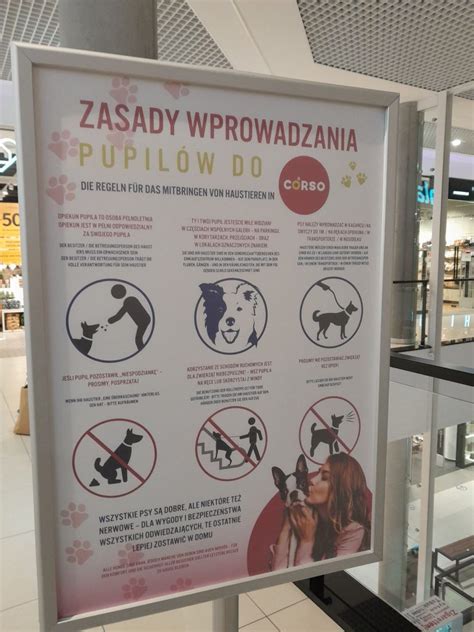 Do Galerii Handlowej Corso Mo Na Wej Z Psem Ale Trzeba Trzyma Si