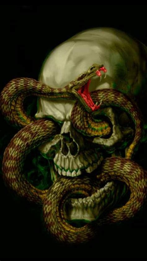 Skull And Snake Wallpapers Wallpaper Cave