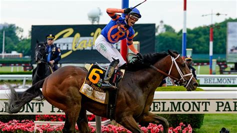 Belmont Stakes 2024 Horses Portraits Meade Scarlet