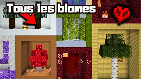 J Ai Reconstruit TOUS Les Biomes Dans Minecraft Hardcore YouTube