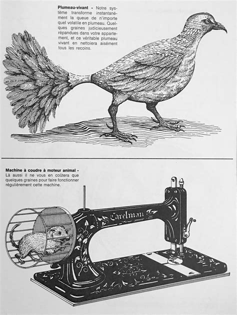 Catalogue Des Objets Introuvables Jacques Carelman Le Vagabond Des