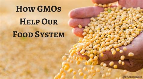 One Of Our Food Systems Helping Hands Gmos Food Insight