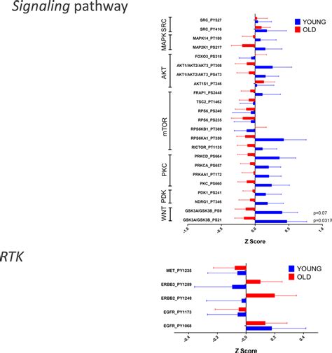 Reverse Phase Protein Array Rppa Of The Tcga Dataset Was Analyzed By