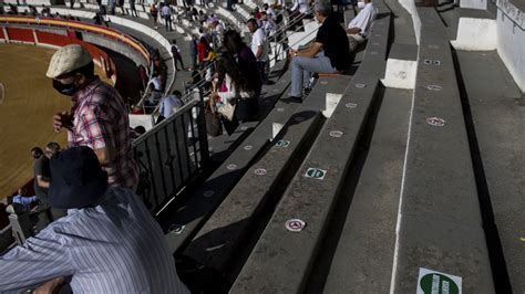 What Really Happens At A Bullfight? - PicTellMe