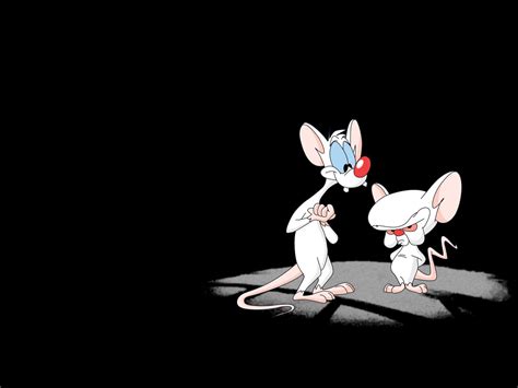 Download Tv Show Pinky And The Brain Wallpaper