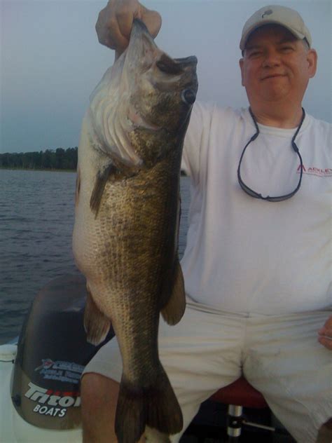 Bass Fishing At Lake Fork Lake Fork Fishing Pictures Bass Fishing