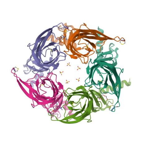 RCSB PDB 4ZK4 Crystal Structure Of A Chimeric Acetylcholine Binding