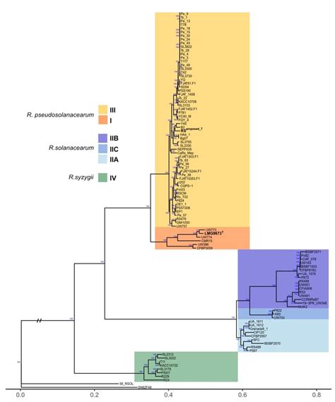 Core Genome Phylogenetic Tree Demarcating The Three Rssc Species And Download Scientific