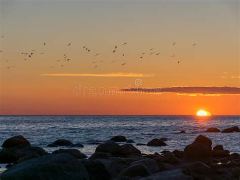 Beautiful Sunset On A Rocky Beach Stock Image Image Of Sunset Rocky