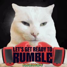 Lets Get Ready To Rumble Meme