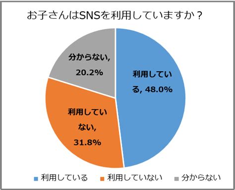 【子どものsns利用調査】snsでのトラブルでもっとも多いのは「ネット上のいじめ」。親が心配なのは「知らない人とのやり取りや面会」｜ニフティ