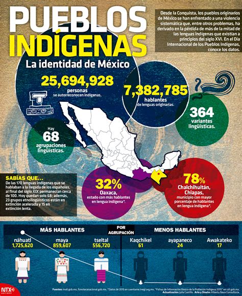 Hoy Tamaulipas Infografía Pueblos indígenas la identidad de México