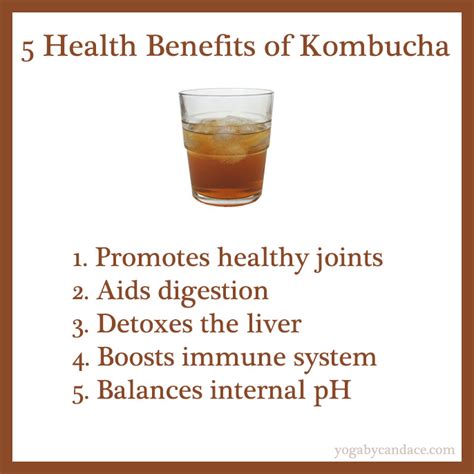 5 Health Benefits Of Kombucha YOGABYCANDACE