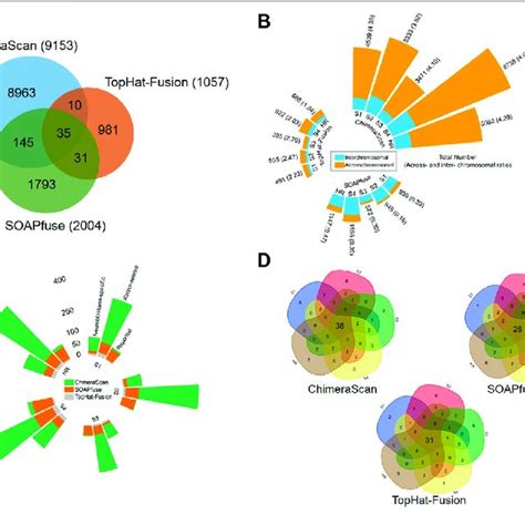 Annotated Gene Fusions In Different Fusion Detection Algorithms