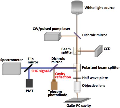 Fig S1 Schematic Diagram Of The Cross Polarization Microscope