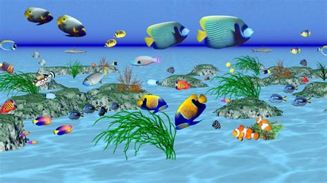 Fishes sea wallpaper | (116764)